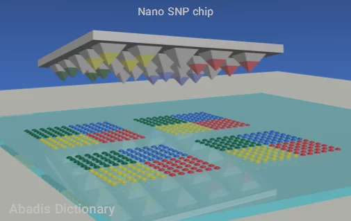 nano snp chip